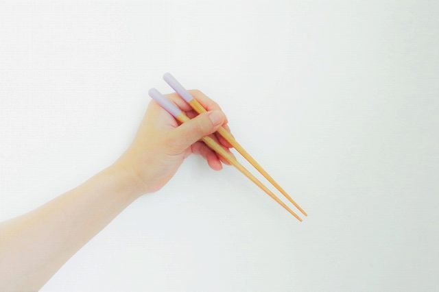 ��Ȥ ������Ȥ21cm�ʿ������б���