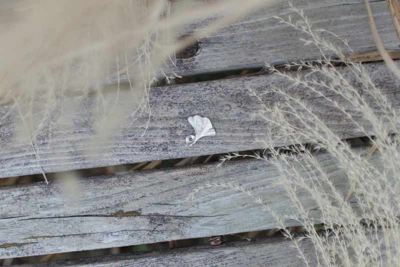 ��˱Ʋ ����Ω�� - �� �����祦 ���� �� �� úë��Ϻ��Ź ����Ω�� ���襤�� ���� ������� ������� ���󥻥󥹥ۥ���� ����ץ� �ꥢ�� �������� ������ ��η뾽 ���� �����祦 �դä� ��ߥ� �� ���� tin