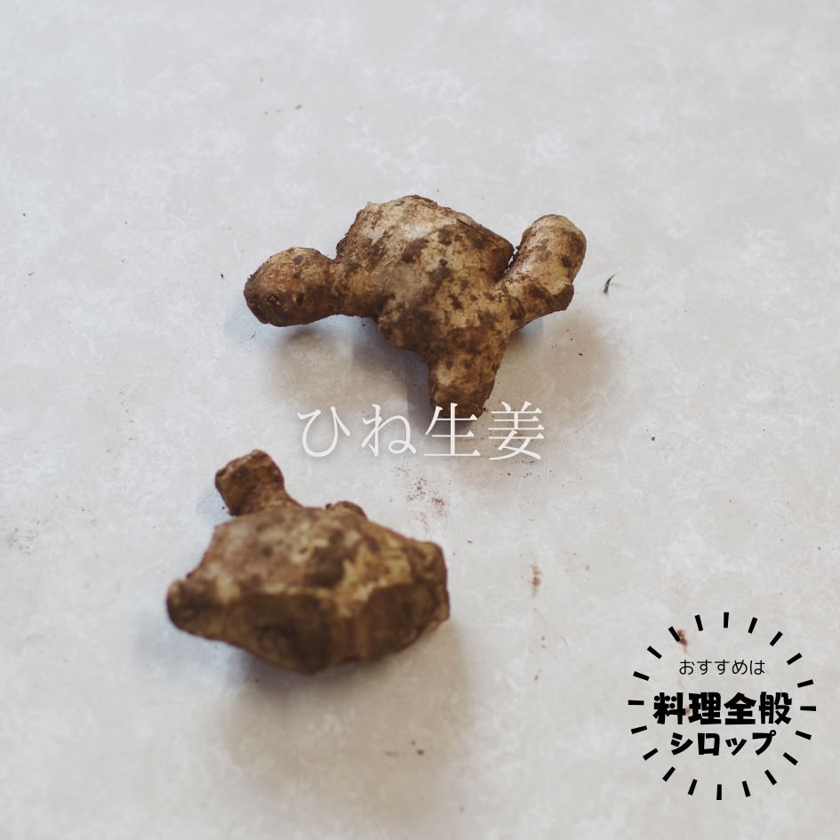 �ڿ��̸����Bamboo Village Farm����μ�����ˡ����ڥ��å�