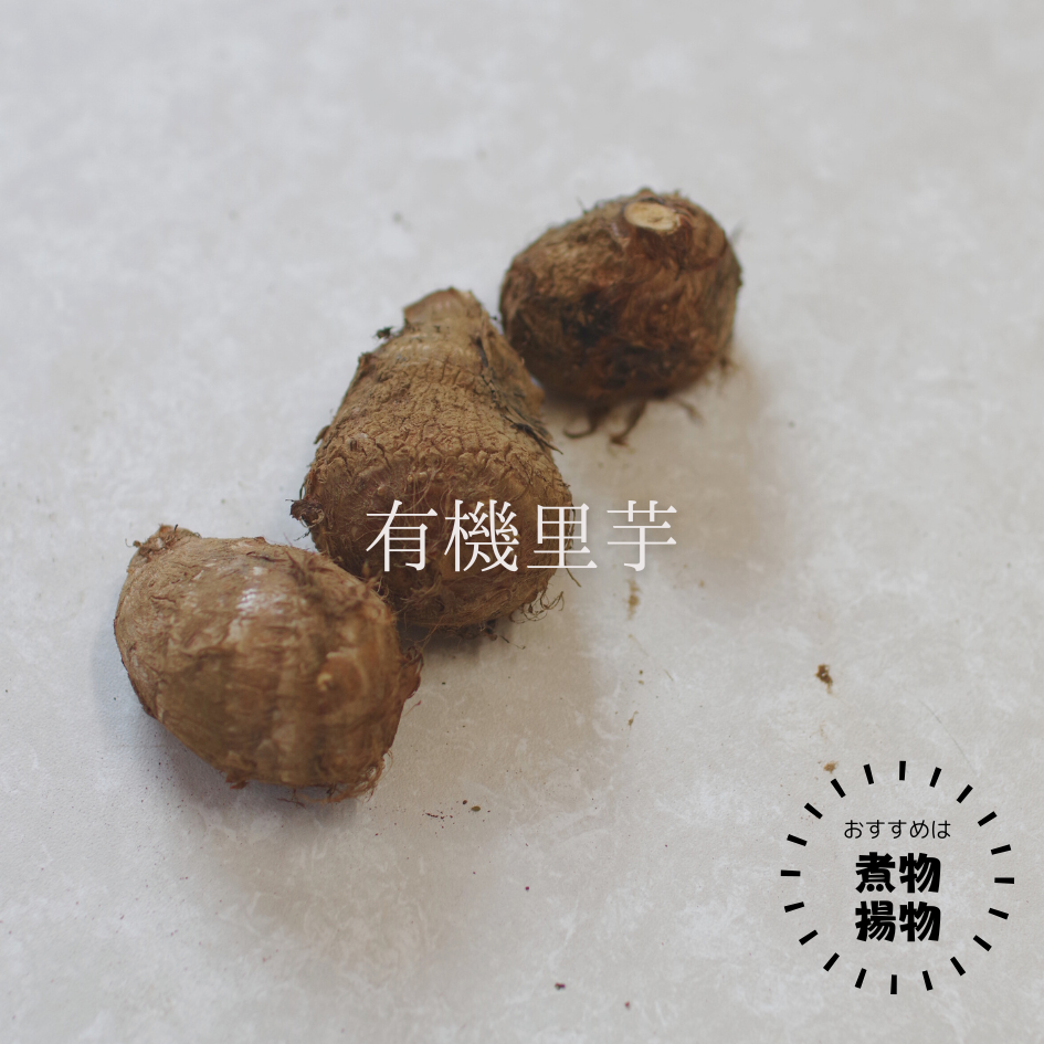 �ڿ��̸����Bamboo Village Farm����μ�����ˡ����ڥ��å�