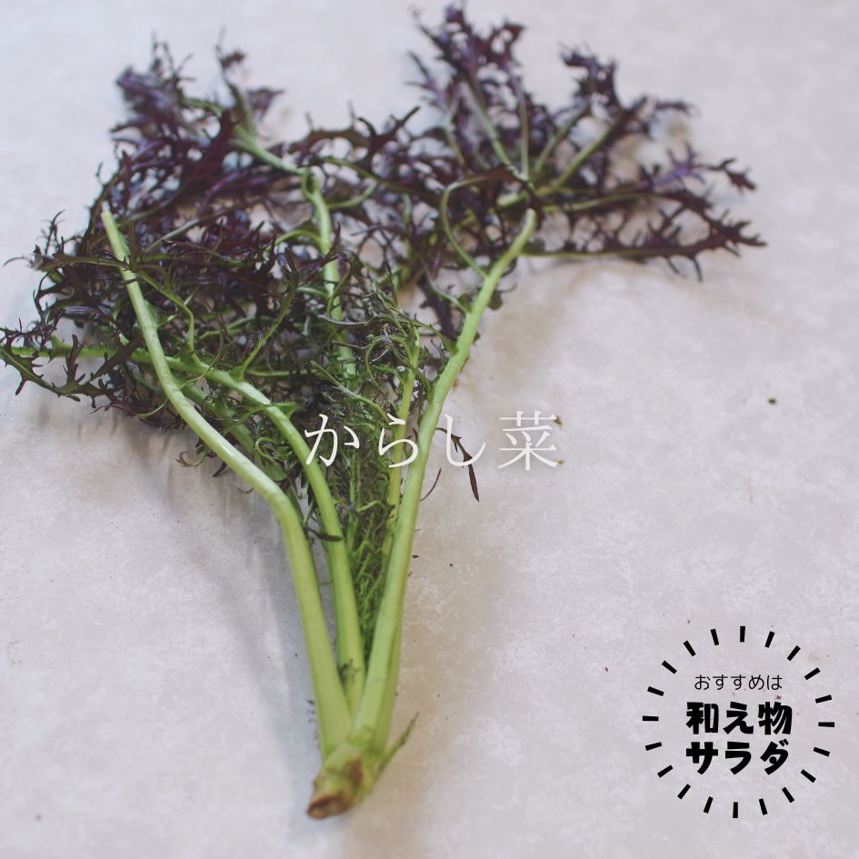 �ڿ��̸����Bamboo Village Farm����μ�����ˡ����ڥ��å�