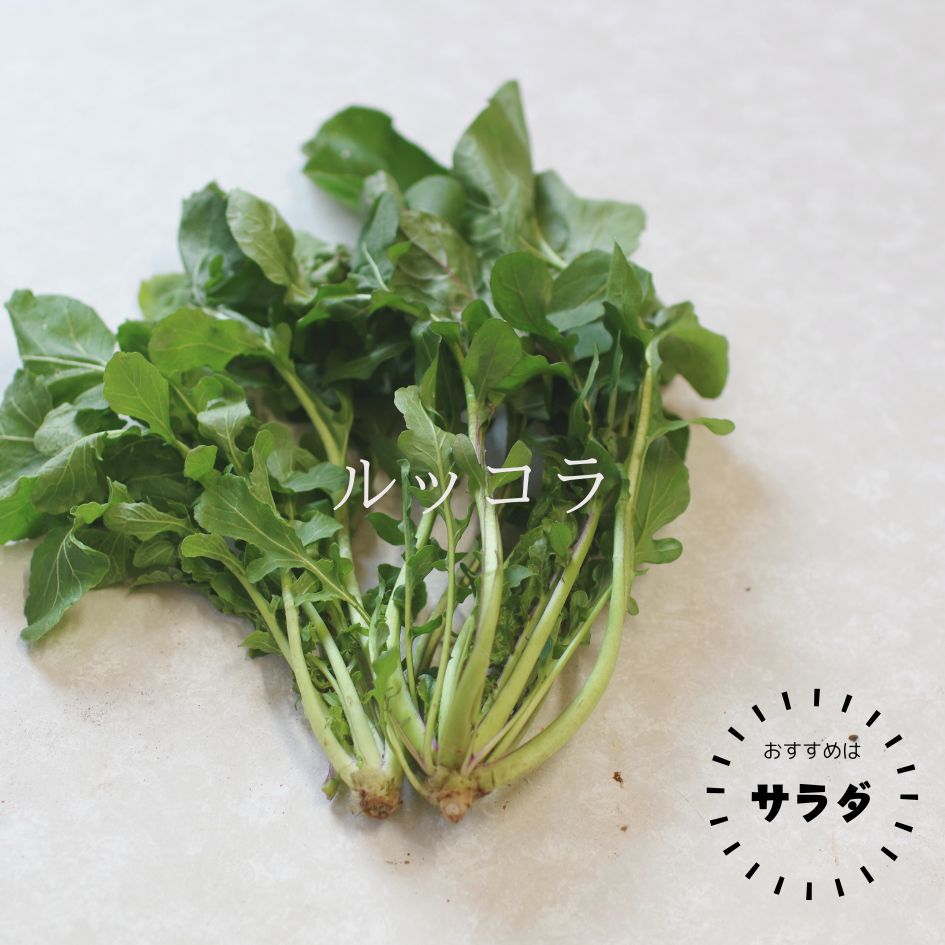 �ڿ��̸����Bamboo Village Farm����μ�����ˡ����ڥ��å�