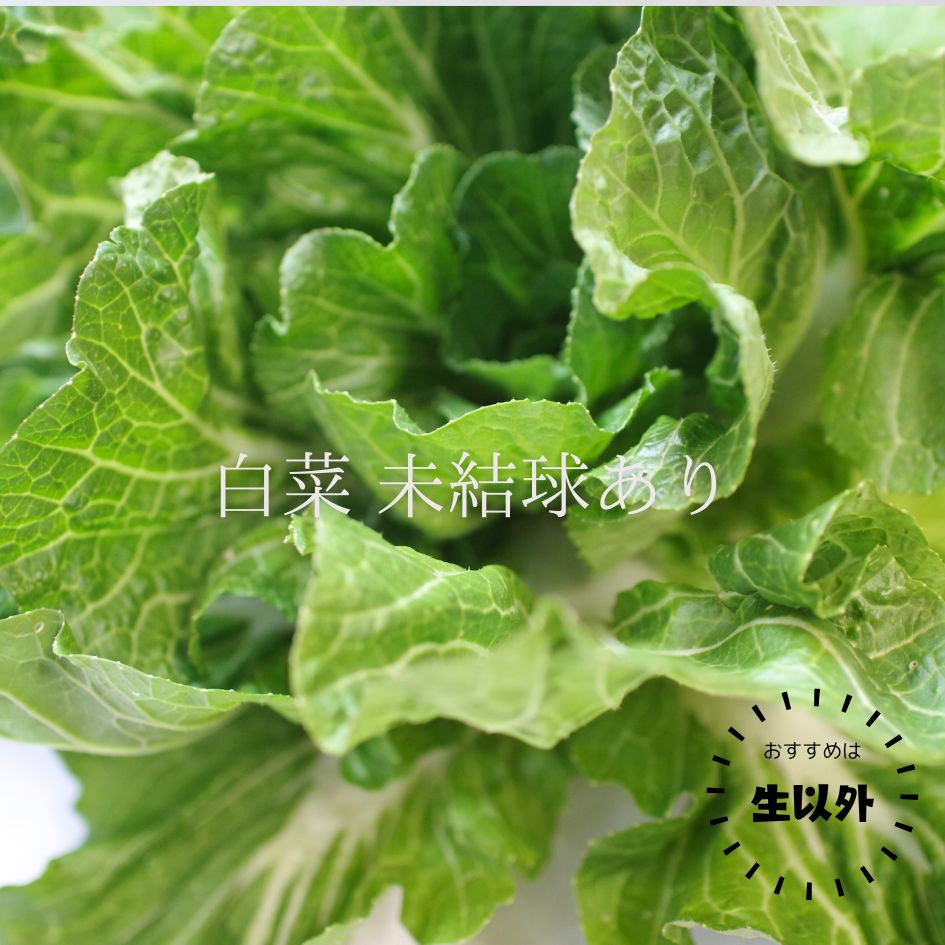 �ڿ��̸����Bamboo Village Farm����μ�����ˡ����ڥ��å�