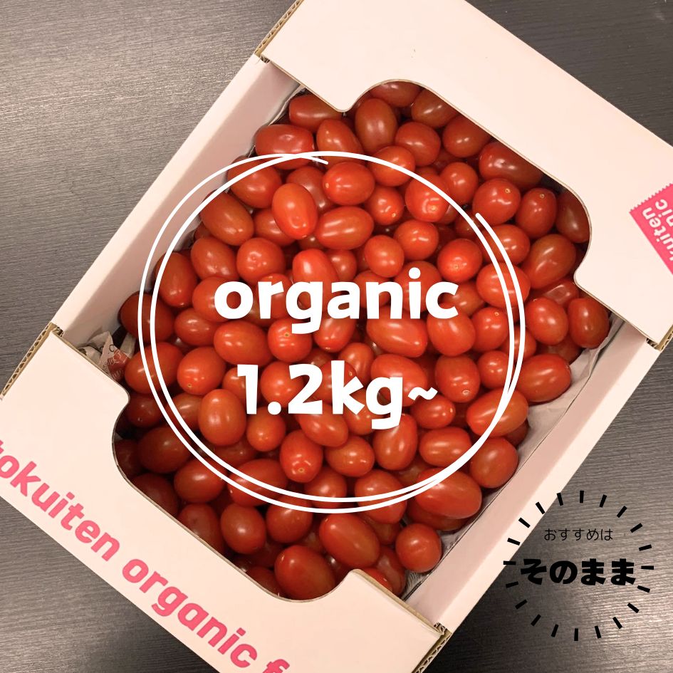 �Ť����������˥å��ץ��ȥޥȡڥȥ����ƥ󥪡����˥å��ե��������1.2��1.5kgȢ���д餢�դ��ե�å���ʽܤΥȥޥȡ�̵������ͭ��