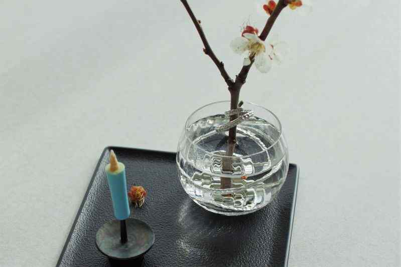 ���� �Ƥ̤��������� �� �ޤ� �� ���顼�������� �ӥӥåɥ��顼 ���������顼 �¤������� �ߥ˥����ɥ� ���襤�� ����ե� �»��� ����������� �ߥ˥��奢 �ͥ��ȥͥ��� �ѥå����� �¥���� �������ޥ��� �����������ɥ�