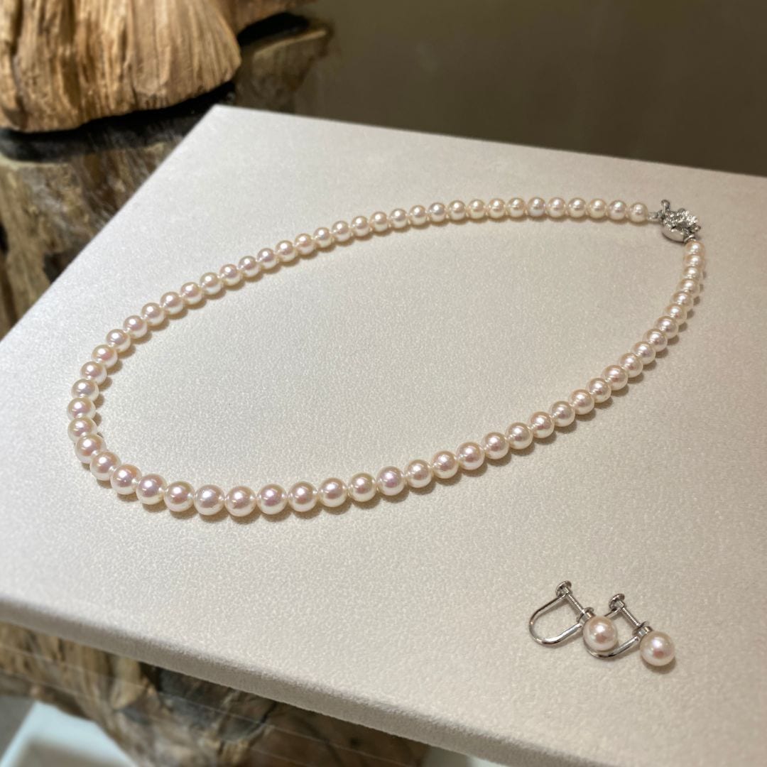 フォーマル NC. & Eg. セット