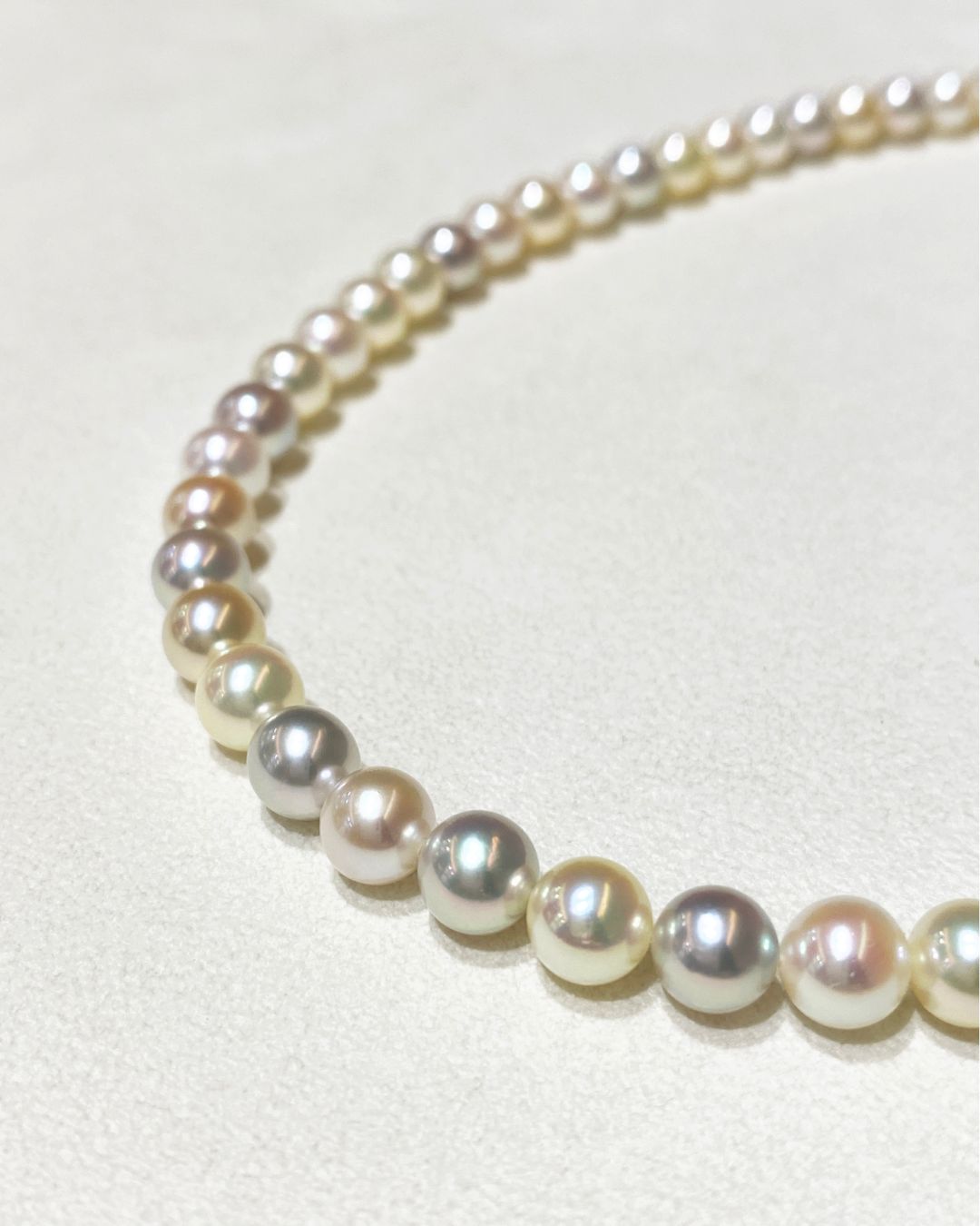 フォーマル NC. 【マルチカラー/6.5-7.0mm】