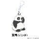 TV˥֤1/2 ڤ̼륭ۥ vol.1 11