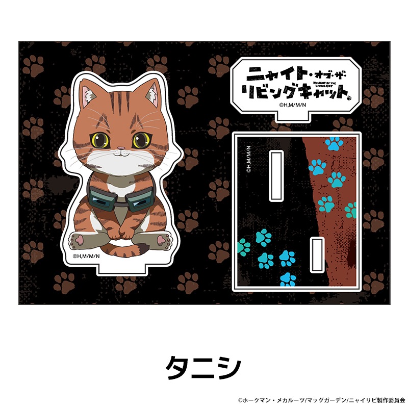 �˥㥤�ȡ����֡�������ӥ󥰥���å� �ڤ���̼�������ե����奢 ��9��