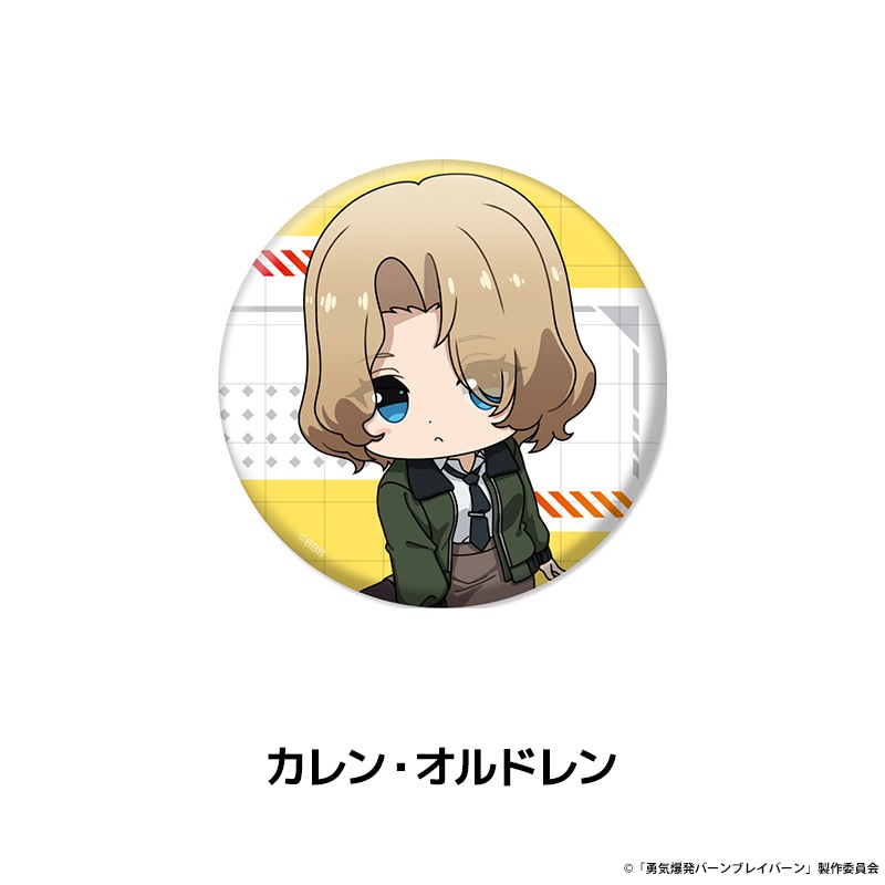 ͦȯС֥쥤С ڤ̼̥Хå 9