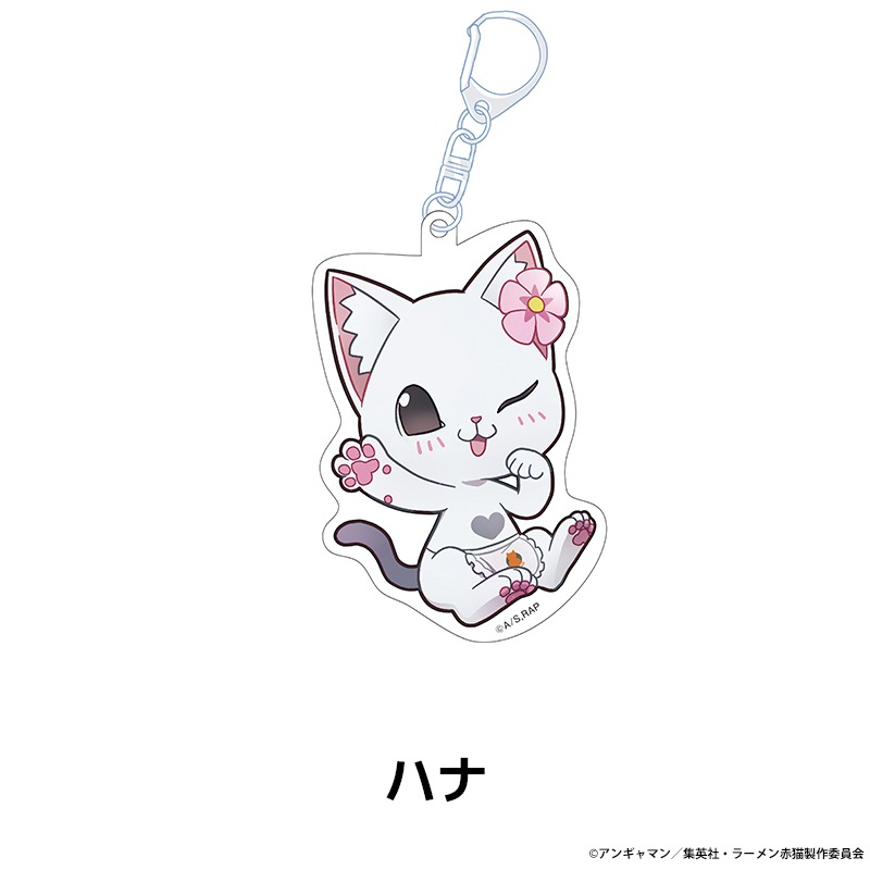 TV���˥�إ顼�����ǭ�� �ڤ���̼������륭���ۥ���� ��6��