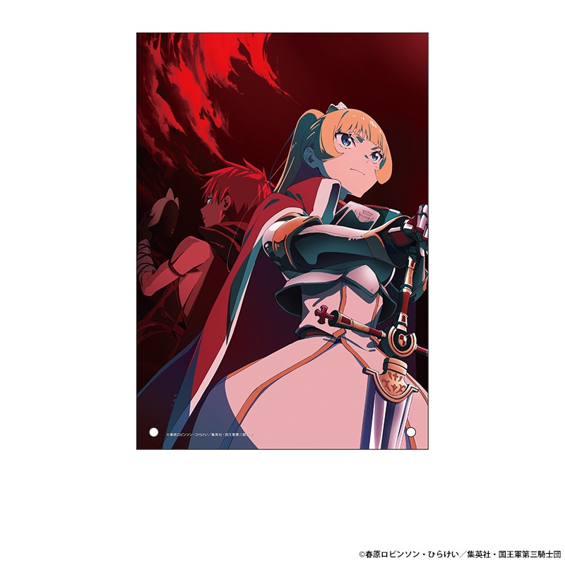 TV���˥��ɱ�͡ȹ���ɤλ��֤Ǥ��� �������ѥͥ�