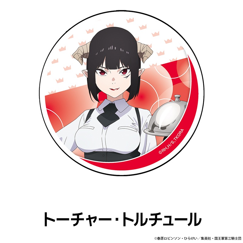 TV���˥��ɱ�͡ȹ���ɤλ��֤Ǥ��� ������륳�������� ��8��