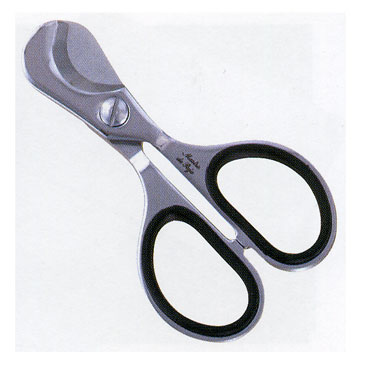 �ޥ��ȥ����ǡ��ѥ䡡������������