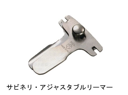 ���ӥͥꡡ�����㥹���֥�꡼�ޡ�