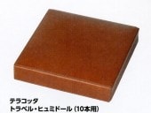 ����ҥ롡�ƥ饳�å����ȥ�٥롦�ҥ�ߥɡ���(10����)