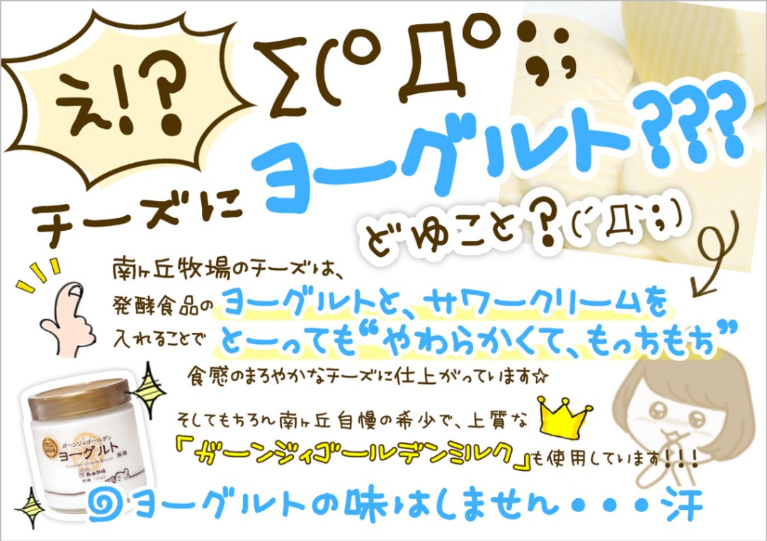 南ヶ丘牧場のヨーグルト入りチーズ120g(プレーン)