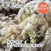 ������30g(̤��������)���᡼���������������ʤ�Ʊ���Բ�