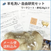 ͳ楻å(̤20g)᡼ʤƱԲ