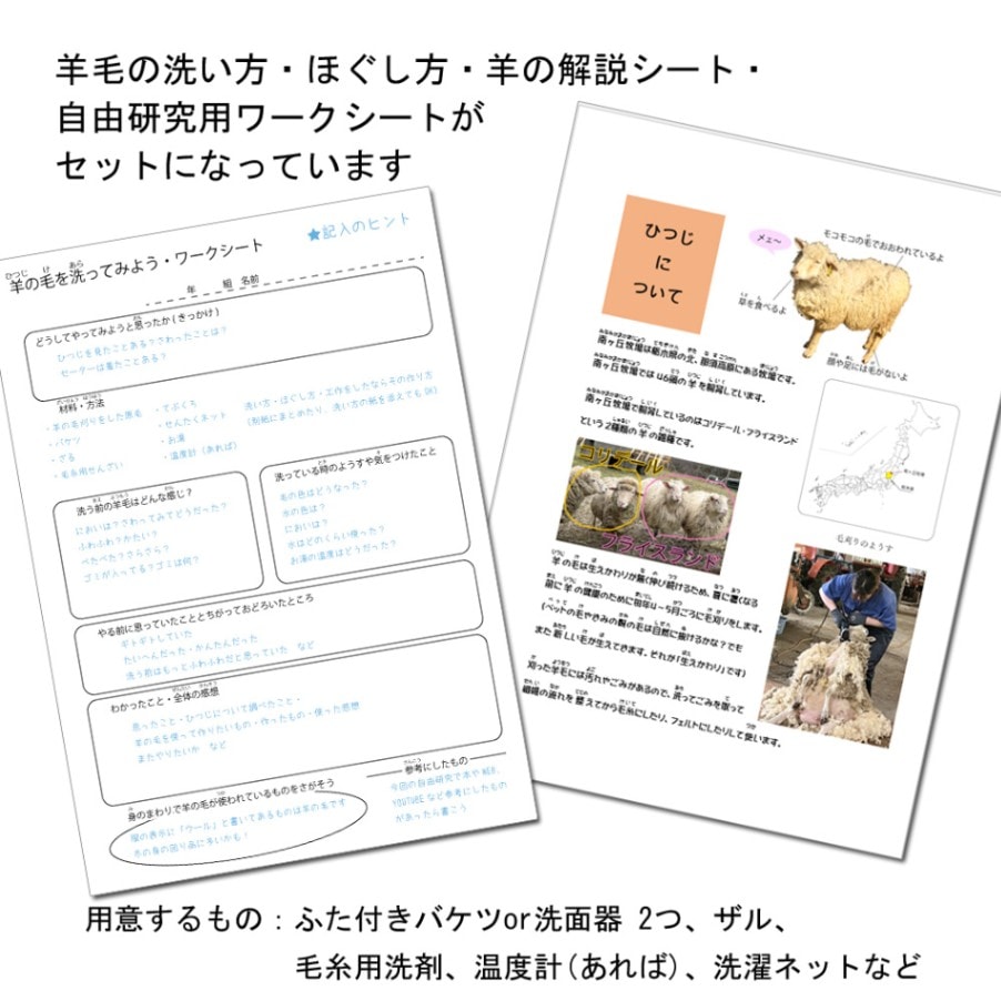 ○羊毛洗い自由研究セット(未洗い原毛20g入り)　メール便送料込・食品と同梱不可