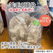 ���ӡ�1Ƭʬ(�����������ʤ�Ʊ���Բ�)