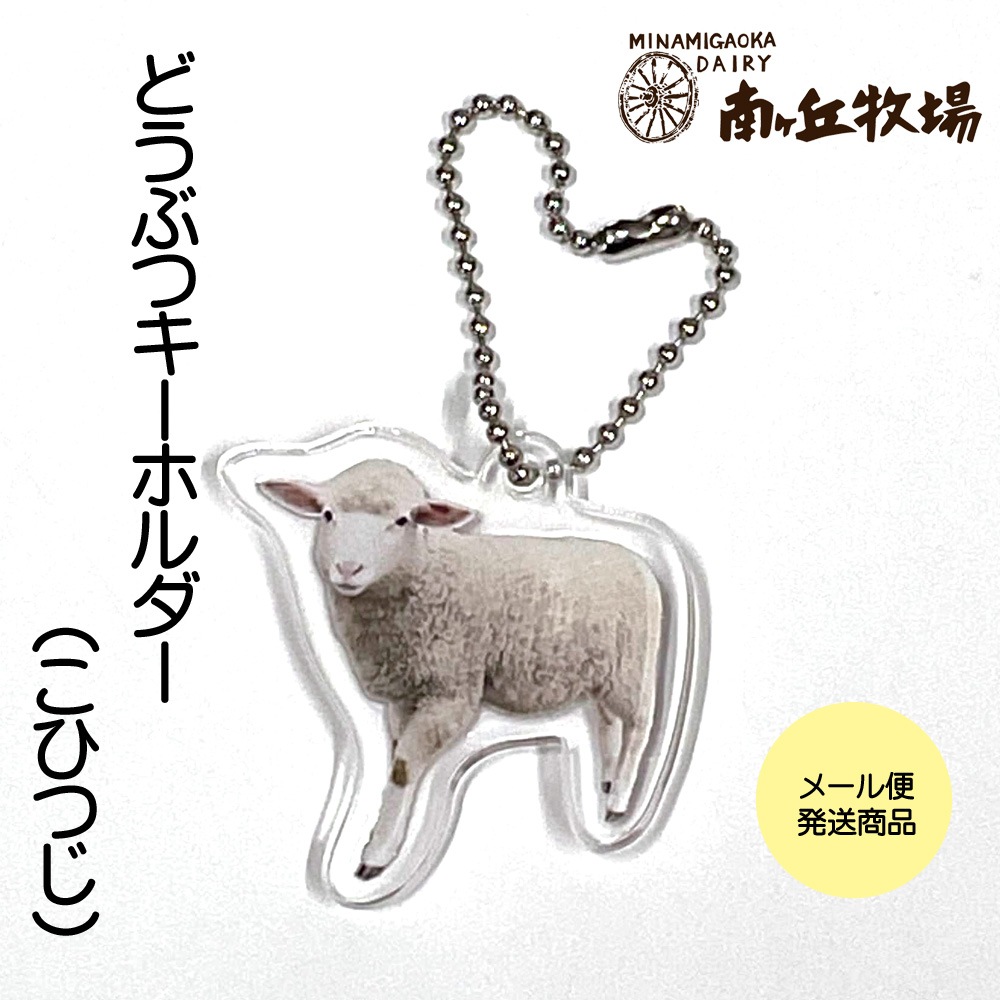 ɤ֤ĥ륭ۥ(ҤĤ)᡼ȯ