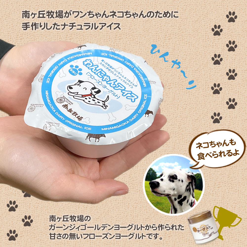 ���ˤ�󥢥���3�ĥ��å�(�ڥå��ѥ��������ե�������衼�����)��������