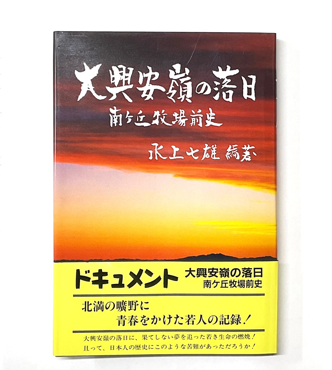 �����ҡ��綽�����������������Ҿ����ˡ׿�強ͺ �������᡼����ȯ����