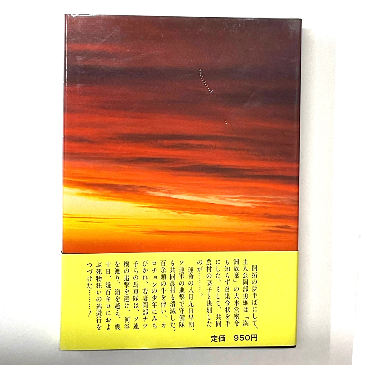 �����ҡ��綽�����������������Ҿ����ˡ׿�強ͺ �������᡼����ȯ����