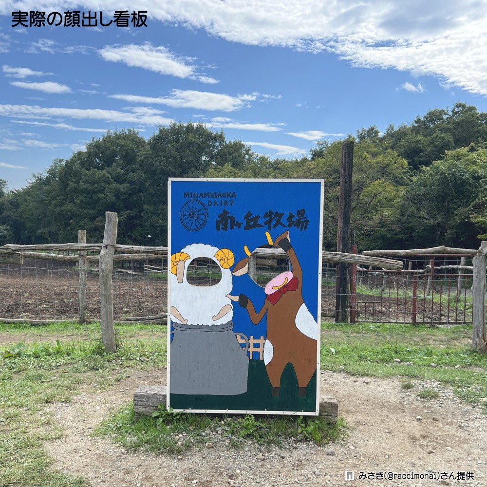 Фѥͥ륢륹ɥۥ(᡼ȯ)11/10ʹȯ