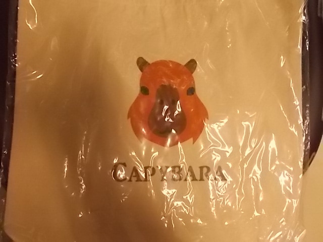 コットンキャンバストート　L