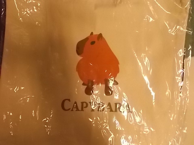 コットンキャンバストート　L