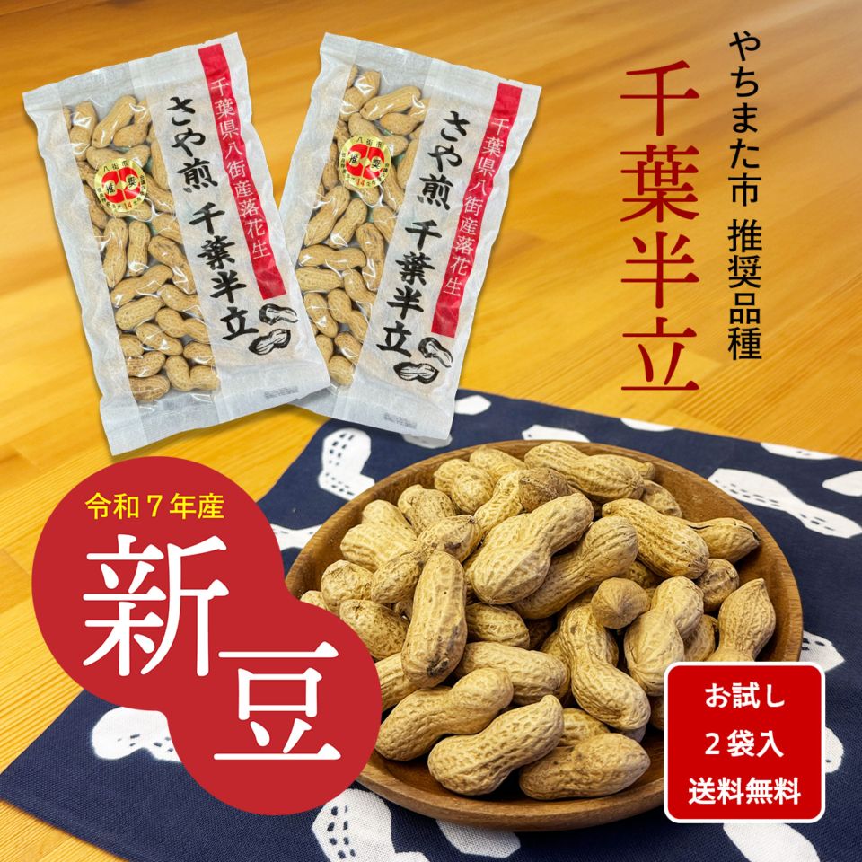 【ポスト投函便】さや煎り千葉半立100g×２袋入　送料込