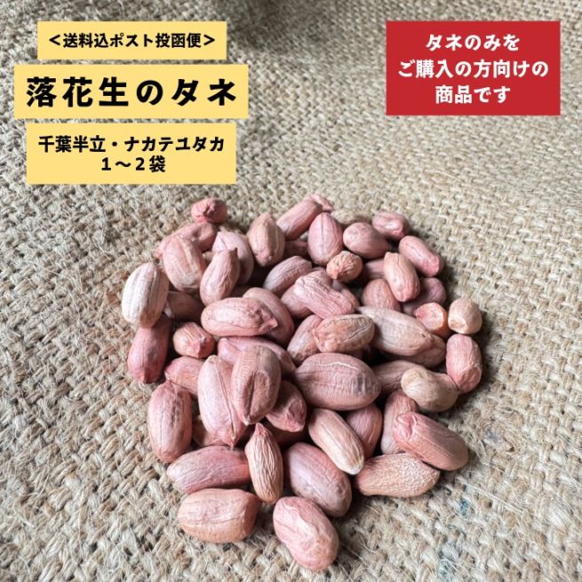 【ポスト投函便】落花生のタネ　※タネのみ1～2袋ご購入の方向け商品です※