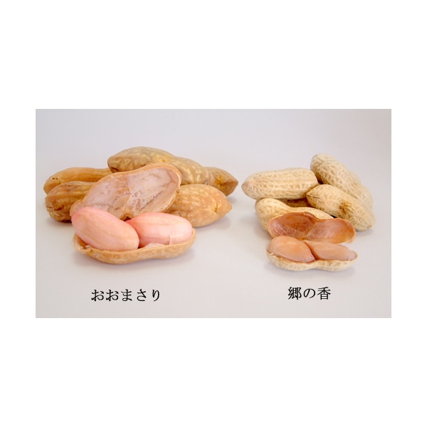 冷凍ゆで落花生「おおまさり」 大きいゆで落花生 - 千葉県八街市
