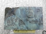 栃　瘤杢　スタビライズドウッドNo.15　　ブルー　Ｌ138ｍｍ×Ｄ28mm×Ｗ82mm　バール杢