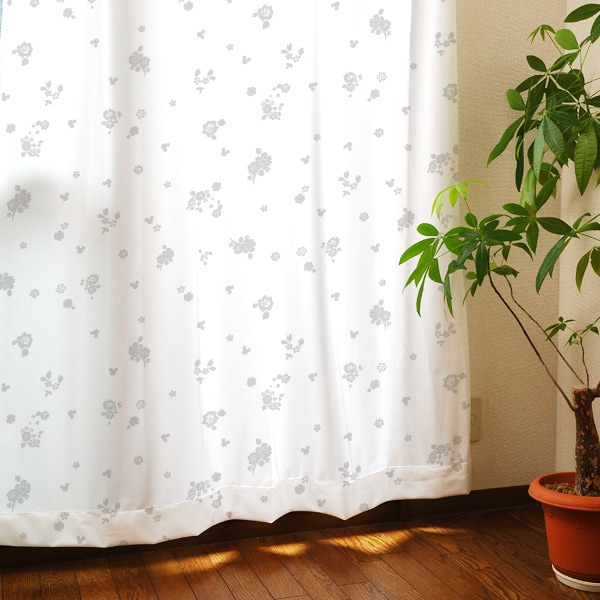 �ܥ���ץ��ȥ����ƥ�1�� [BC-8]  ��3,000����6,000