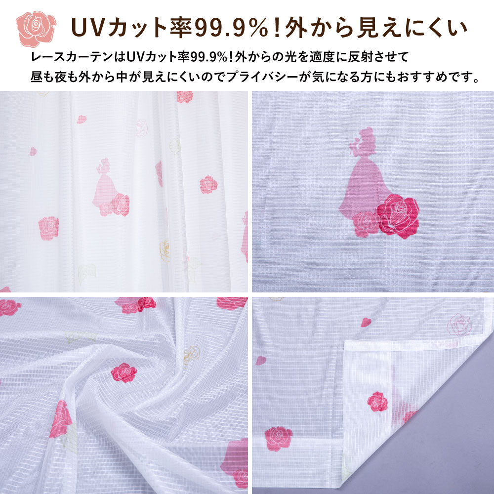 ��������� �٥볰���鸫���ˤ��� �졼�������ƥ�2�祻�å�  SB-631-D