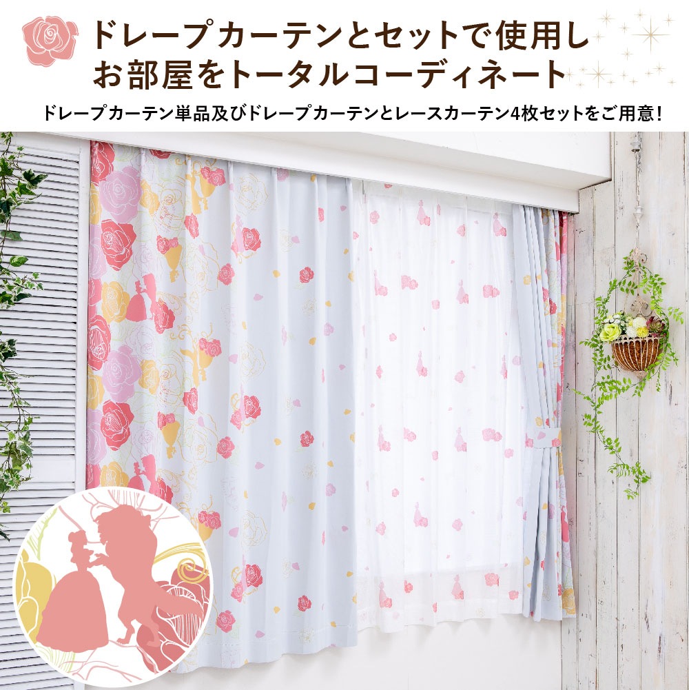 ��������� �٥볰���鸫���ˤ��� �졼�������ƥ�2�祻�å�  SB-631-D