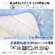 �ɥ館��� I'm Doraemon �䴶�ߤ��ѥå� 100��205cm ���󥰥�[SB-605-S]