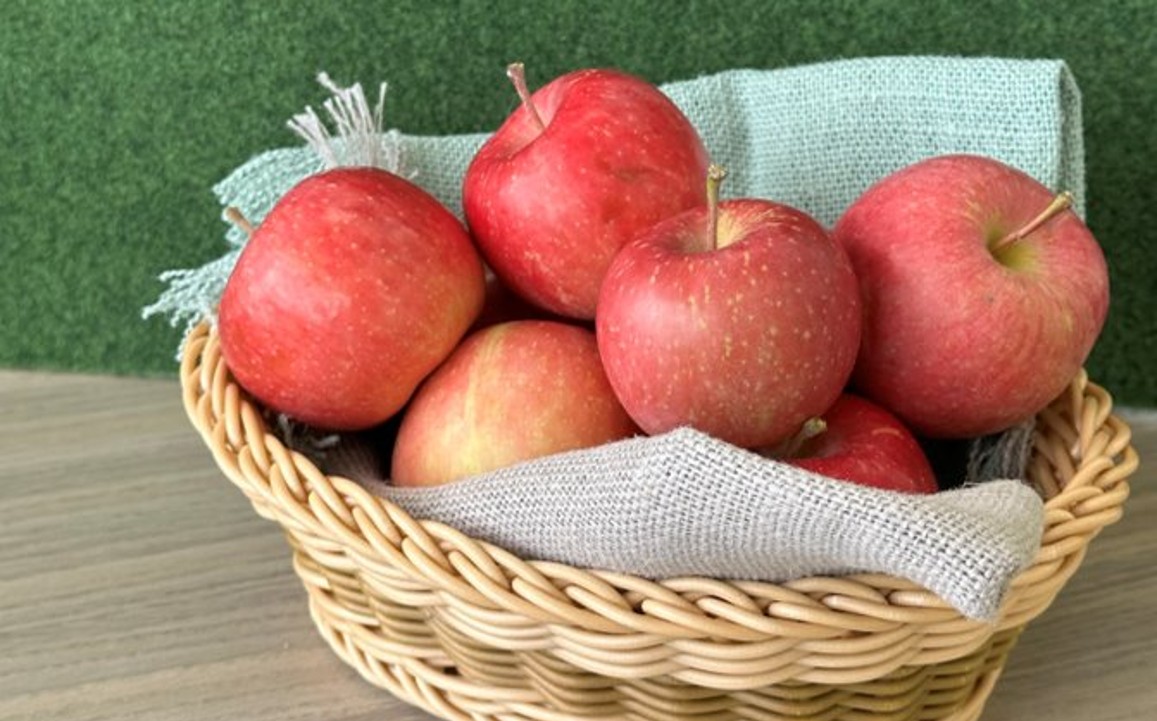 青森県産　ピンコ（赤種）1回のみのお届け（約10㎏　約65個）