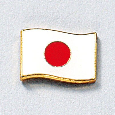 ★お値下げ★ ロータリークラブ　前幹事長章（石なし）ピンバッジ　襟章 ロータリークラブ用品,襟章,前役員章 | 国際ロータリー公認