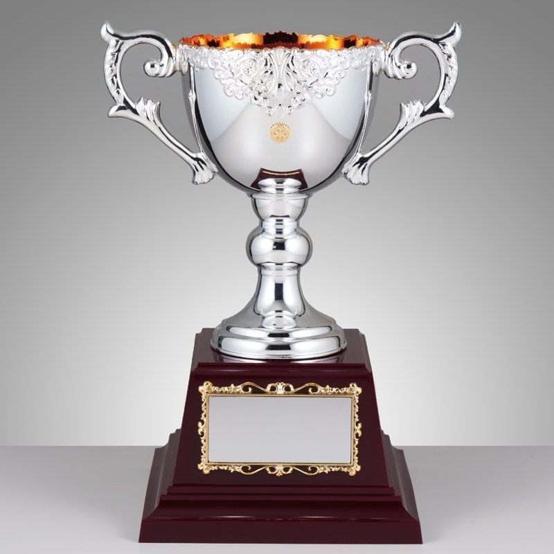 アンチモニーカップ