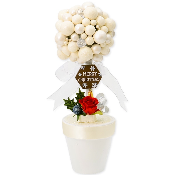 �ץꥶ���֥ɥե� ���ꥹ�ޥ� �֥ۥ磻�ȥ��ꥹ�ޥ��ȥԥ��꡼��