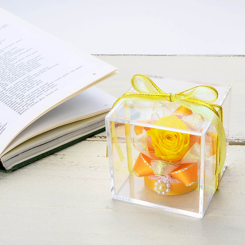 ۥ磻ȥǡ ȥåϥ󥫥&ץꥶ֥ɥեå(åԥդ)