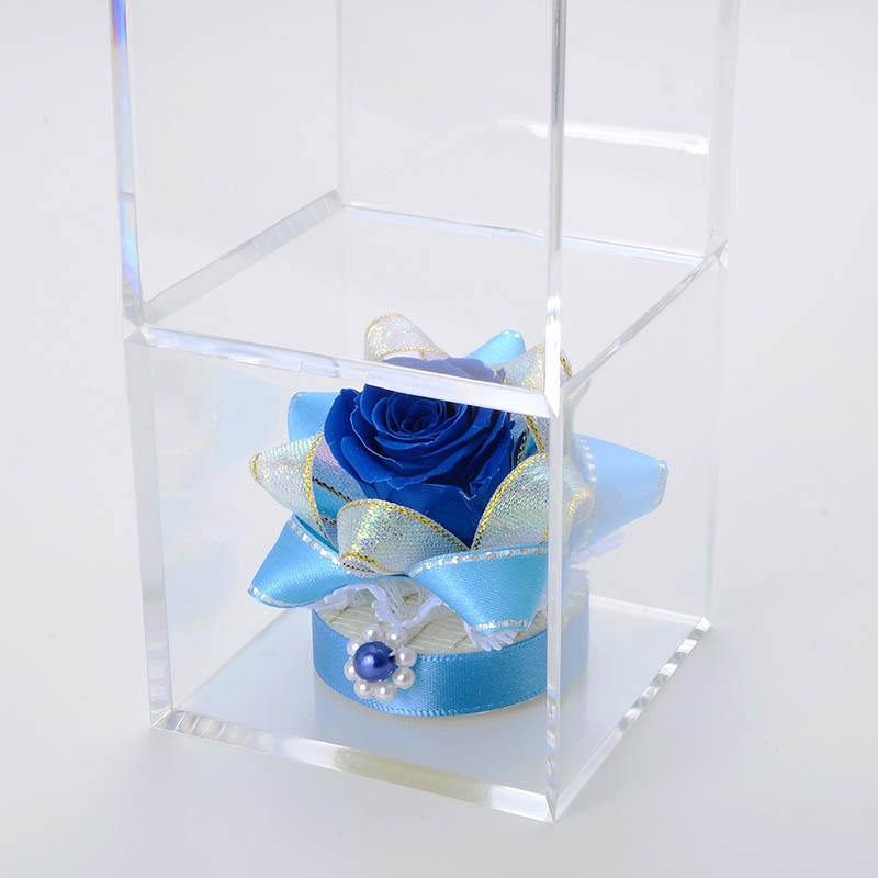 ۥ磻ȥǡ ȥåϥ󥫥&ץꥶ֥ɥեå(åԥդ)