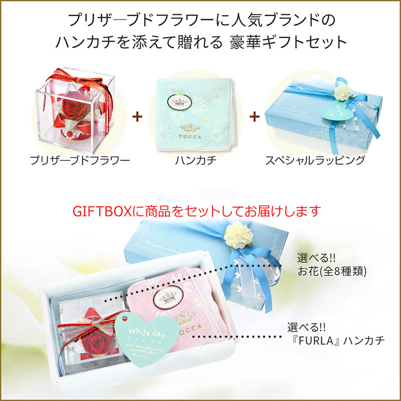 ۥ磻ȥǡ ȥåϥ󥫥&ץꥶ֥ɥեå(åԥդ)