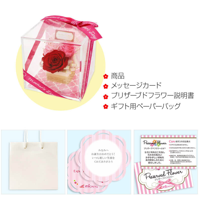 ץꥶ֥ɥե  ե "Mother's Day"ԥåդ 塼֥