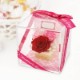 ץꥶ֥ɥե  ե "Mother's Day"ԥåդ 塼֥