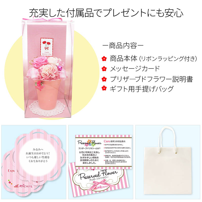 ץꥶ֥ɥե ե ͤ ͤ ԥ Х ͡ ()